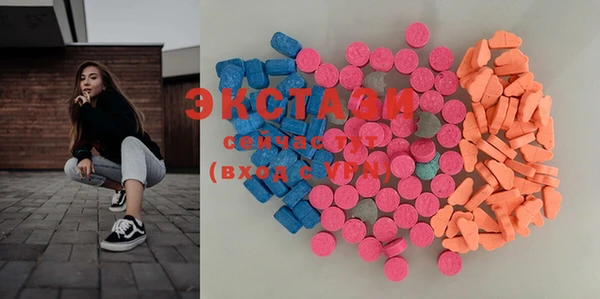 ECSTASY Богданович