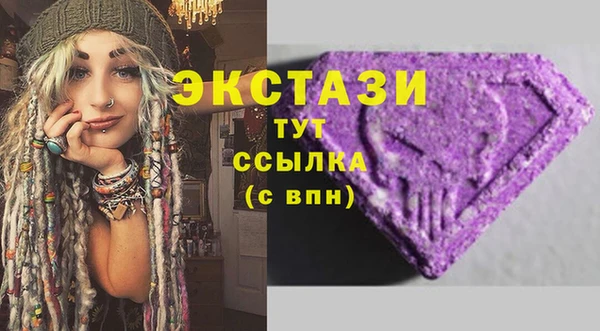 ECSTASY Богданович